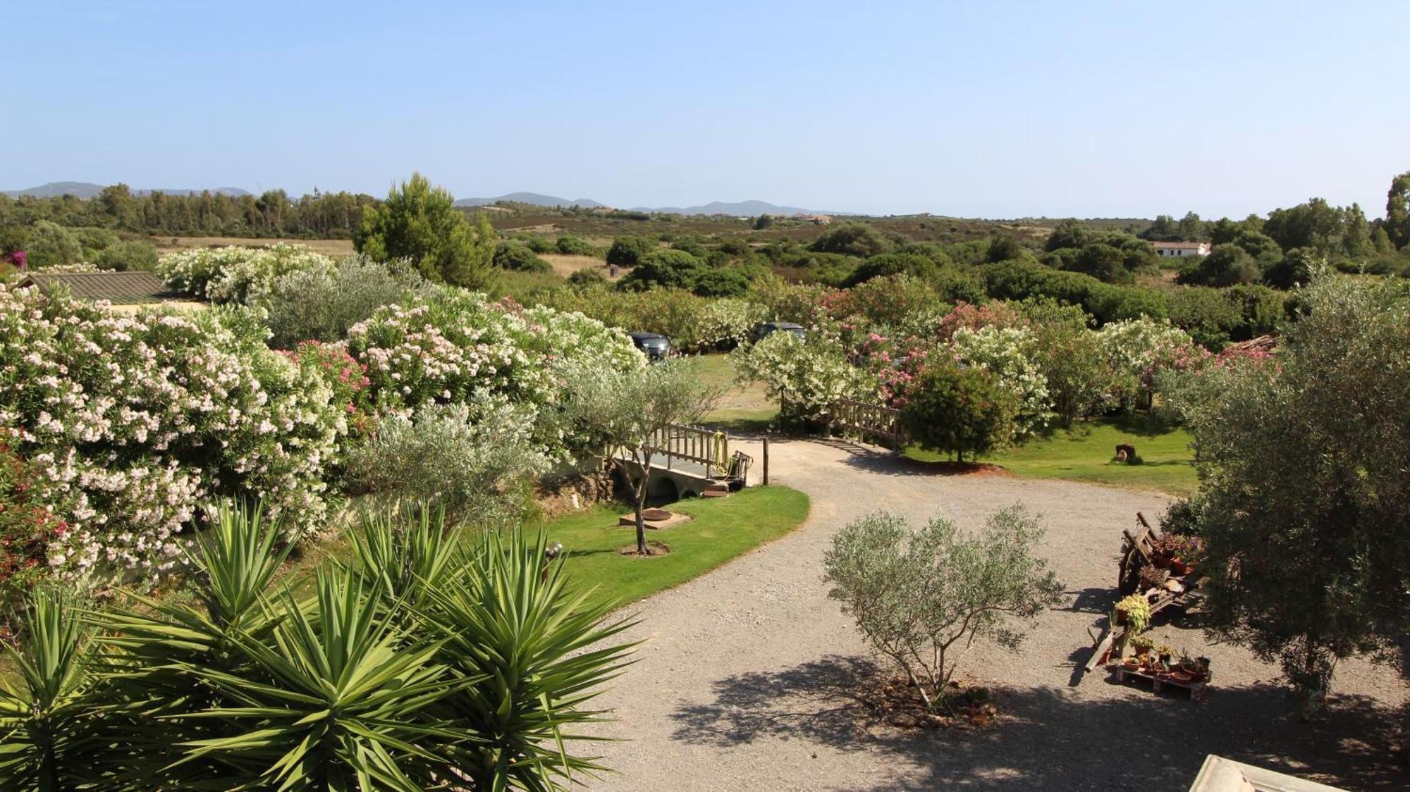Casa Vacanze Giovanna SantʼAnna Arresi Buitenkant foto