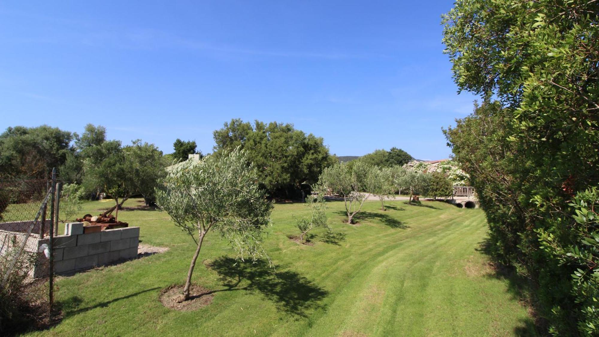 Casa Vacanze Giovanna SantʼAnna Arresi Buitenkant foto