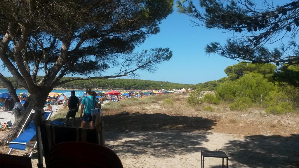Casa Vacanze Giovanna SantʼAnna Arresi Kamer foto